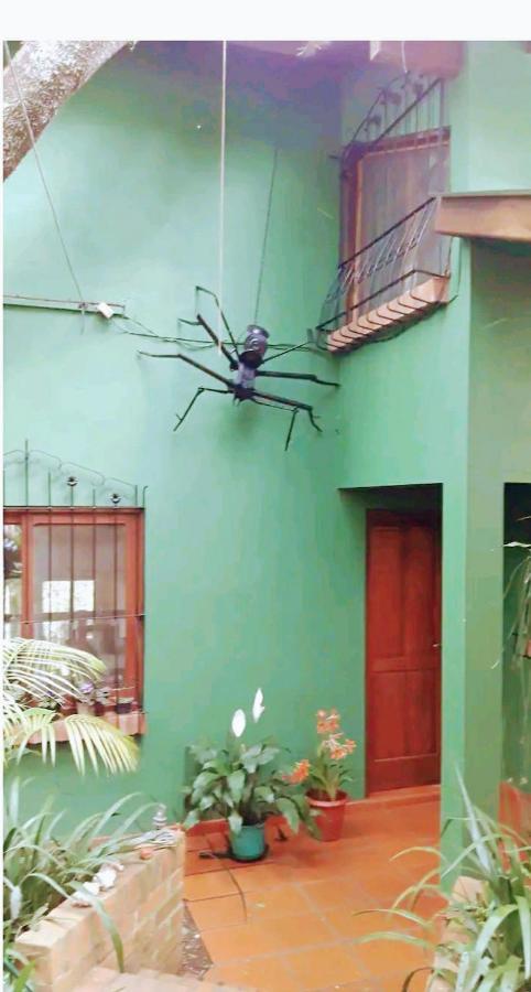 Jardin De Naipi Apartment Puerto Iguazú Cameră foto