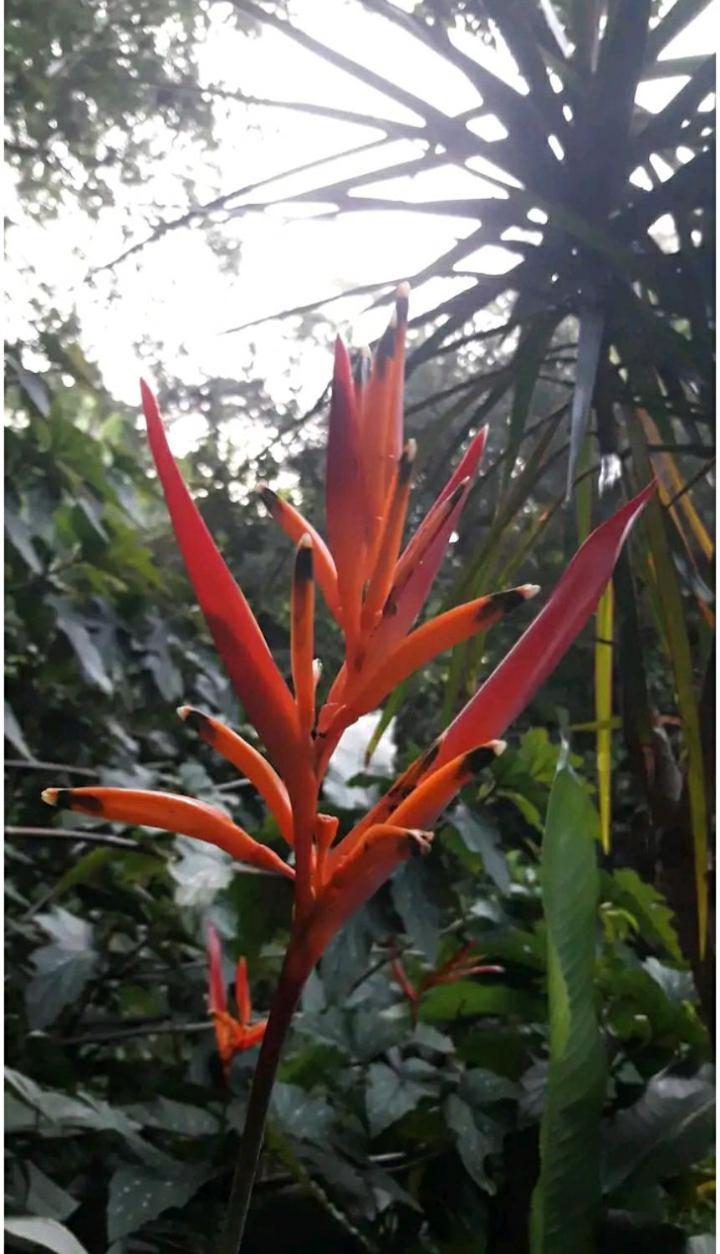 Jardin De Naipi Apartment Puerto Iguazú Cameră foto